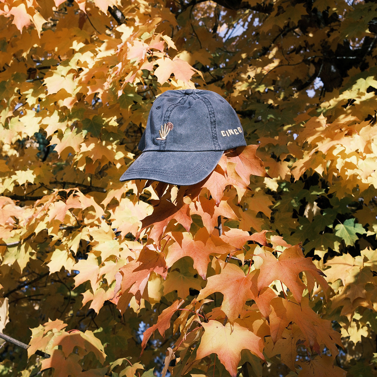 Cap Website CINCO Drink Co. | Agave Cotton Twill Cap – Cinco Drink Co